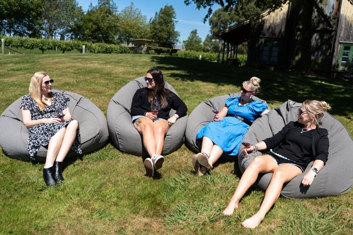 Marlborough Wine Tour - Afternoon of Cuisine & Wine 4hrs - Photo 1 of 14